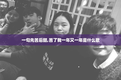 一句先苦后甜,苦了我一年又一年是什么歌