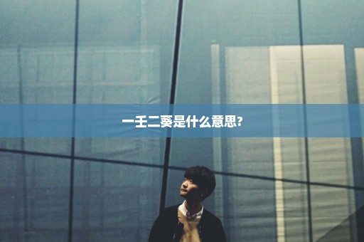 一壬二葵是什么意思?