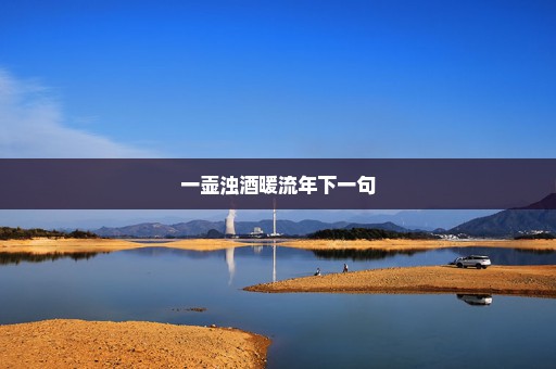 一壶浊酒暖流年下一句