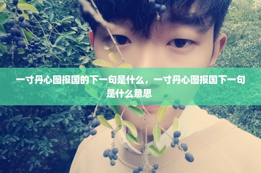 一寸丹心图报国的下一句是什么，一寸丹心图报国下一句是什么意思 
