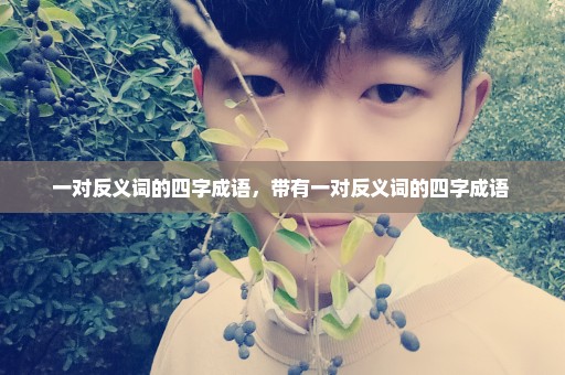 一对反义词的四字成语，带有一对反义词的四字成语 