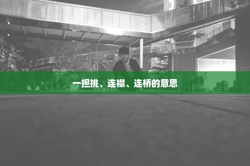 一担挑、连襟、连桥的意思