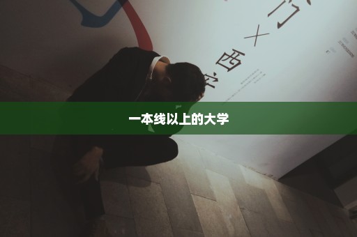 一本线以上的大学