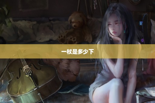 一杖是多少下