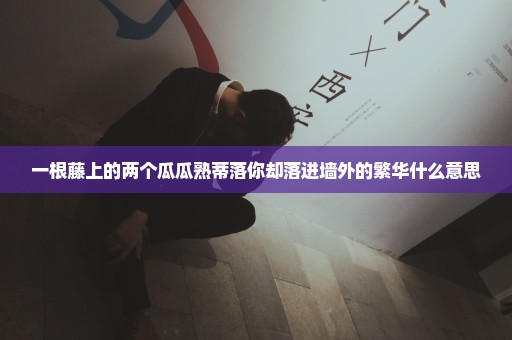 一根藤上的两个瓜瓜熟蒂落你却落进墙外的繁华什么意思