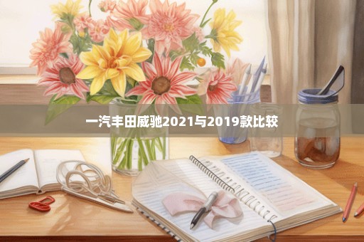 一汽丰田威驰2021与2019款比较