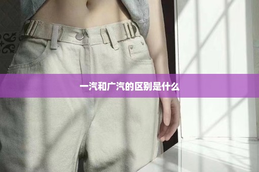 一汽和广汽的区别是什么