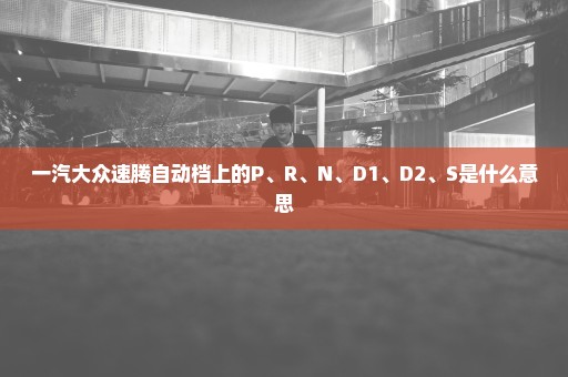 一汽大众速腾自动档上的P、R、N、D1、D2、S是什么意思
