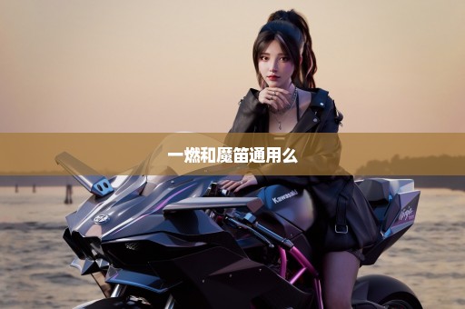 一燃和魔笛通用么
