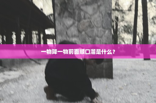 一物降一物前面顺口溜是什么？