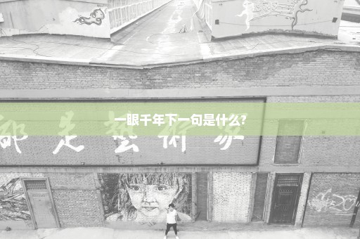一眼千年下一句是什么?