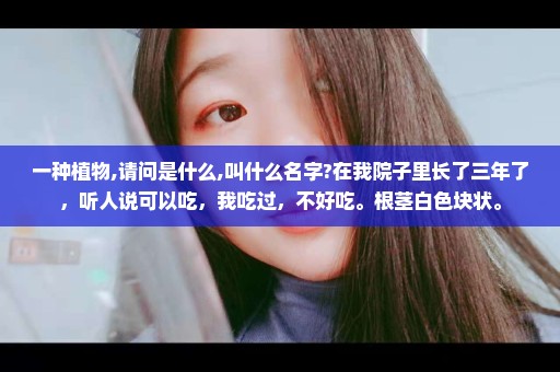 一种植物,请问是什么,叫什么名字?在我院子里长了三年了，听人说可以吃，我吃过，不好吃。根茎白色块状。