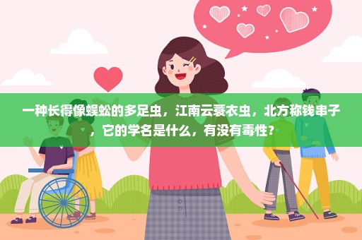 一种长得像蜈蚣的多足虫，江南云蓑衣虫，北方称钱串子，它的学名是什么，有没有毒性？