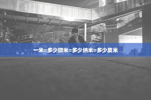 一米=多少微米=多少纳米=多少皮米