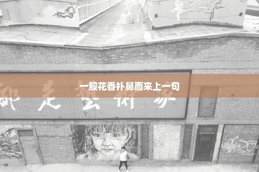 一股花香扑鼻而来上一句