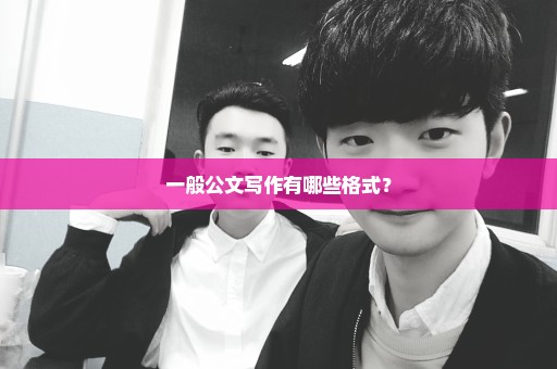 一般公文写作有哪些格式？