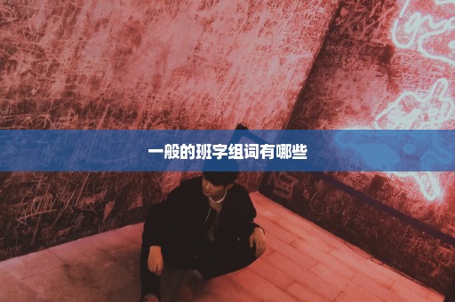 一般的班字组词有哪些