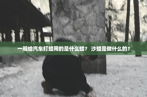 一般给汽车打蜡用的是什么蜡？ 沙蜡是做什么的？