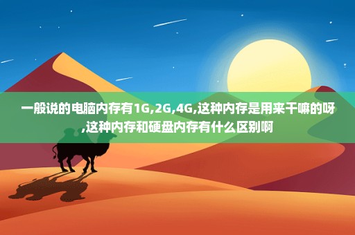 一般说的电脑内存有1G,2G,4G,这种内存是用来干嘛的呀,这种内存和硬盘内存有什么区别啊