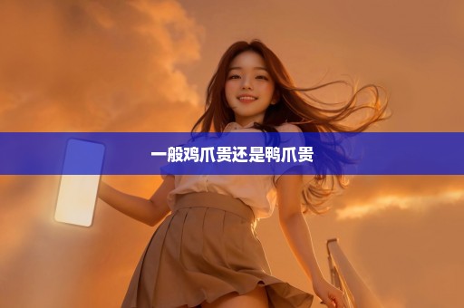 一般鸡爪贵还是鸭爪贵