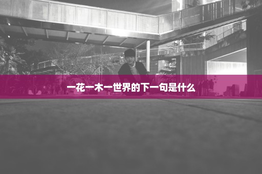 一花一木一世界的下一句是什么