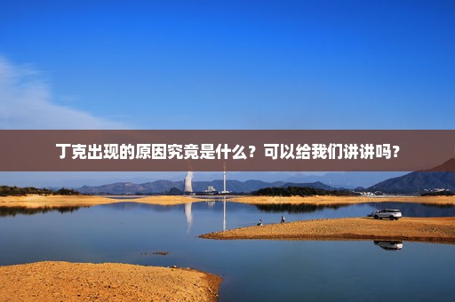 丁克出现的原因究竟是什么？可以给我们讲讲吗？