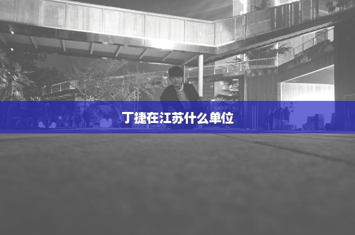 丁捷在江苏什么单位