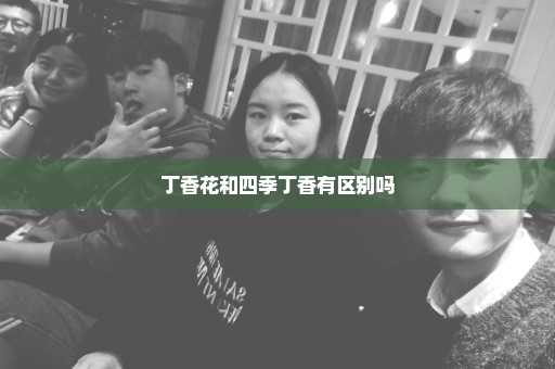丁香花和四季丁香有区别吗