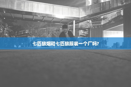 七匹狼烟和七匹狼服装一个厂吗?