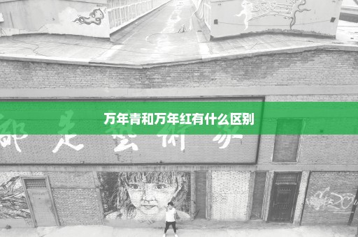 万年青和万年红有什么区别