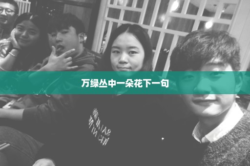 万绿丛中一朵花下一句