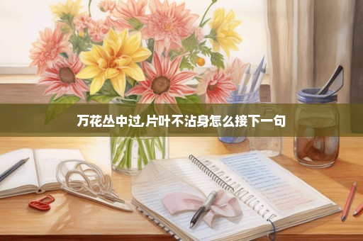 万花丛中过,片叶不沾身怎么接下一句