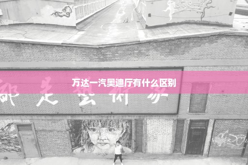 万达一汽奥迪厅有什么区别