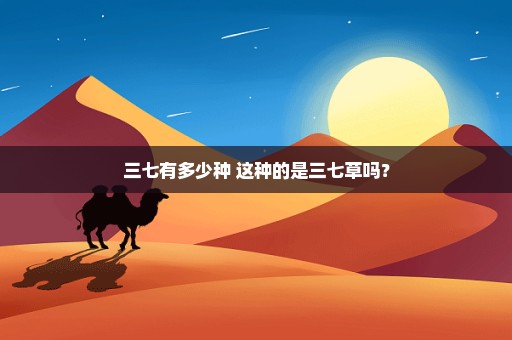 三七有多少种 这种的是三七草吗？
