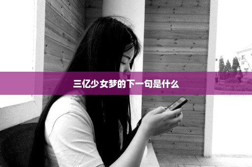 三亿少女梦的下一句是什么