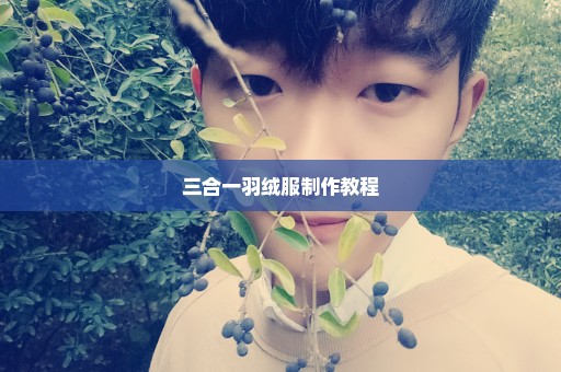 三合一羽绒服制作教程