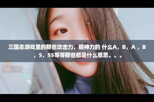 三国志游戏里的那些攻击力，精神力的 什么A，B，A+，B+，S，SS等等那些都是什么意思。。。