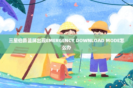 三星伯爵蓝屏出现EMERGENCY DOWNLOAD MODE怎么办