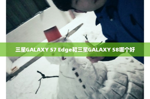 三星GALAXY S7 Edge和三星GALAXY S8哪个好