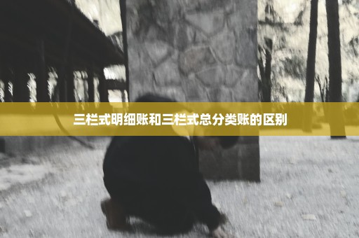 三栏式明细账和三栏式总分类账的区别