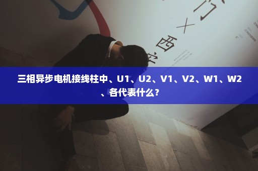 三相异步电机接线柱中、U1、U2、V1、V2、W1、W2、各代表什么？
