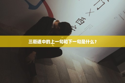 三衢道中的上一句和下一句是什么？