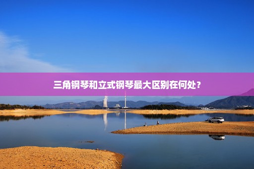 三角钢琴和立式钢琴最大区别在何处？