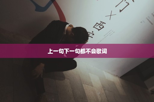 上一句下一句都不会歌词