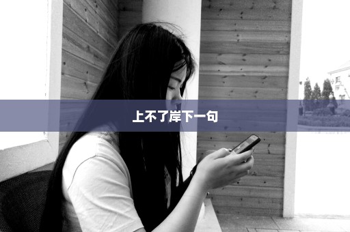 上不了岸下一句