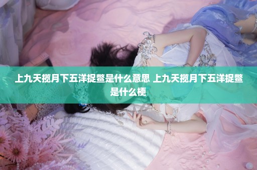 上九天揽月下五洋捉鳖是什么意思 上九天揽月下五洋捉鳖是什么梗