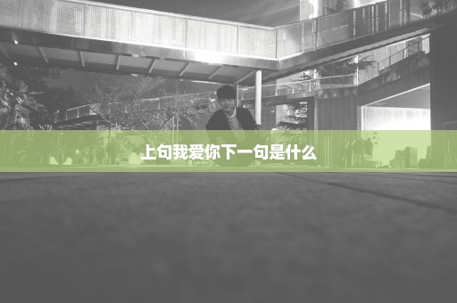 上句我爱你下一句是什么