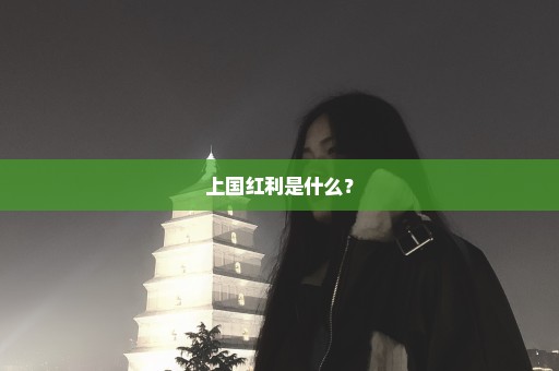 上国红利是什么？