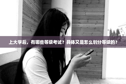 上大学后，有哪些等级考试？具体又是怎么划分等级的？