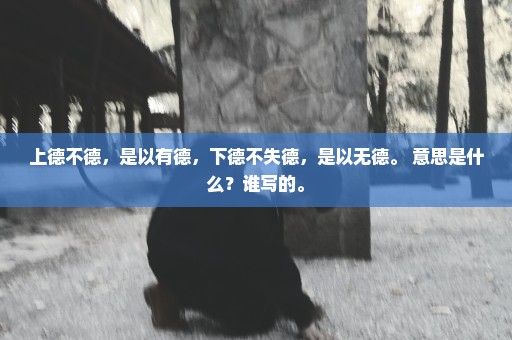 上德不德，是以有德，下德不失德，是以无德。 意思是什么？谁写的。
